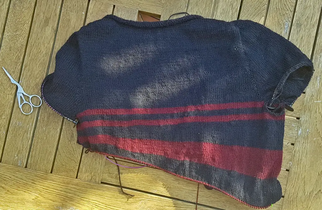 ลายทางหายไปอย่างบ้าคลั่งกลับมา