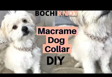 12 helppoa tee-se-itse makrame-lemmikkiprojektia kissoillesi