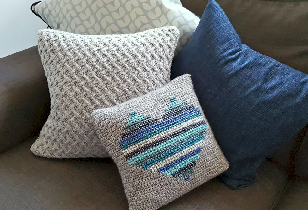 Coixí-Funda-Projecte