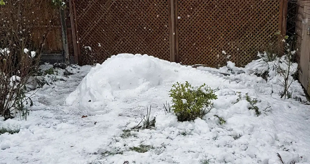 スノードラゴン2