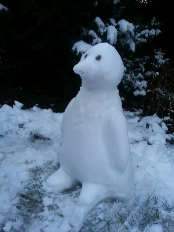 スノーペンギン