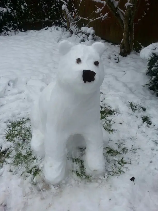 スノーポーラベア