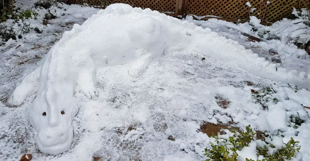 スノードラゴン1