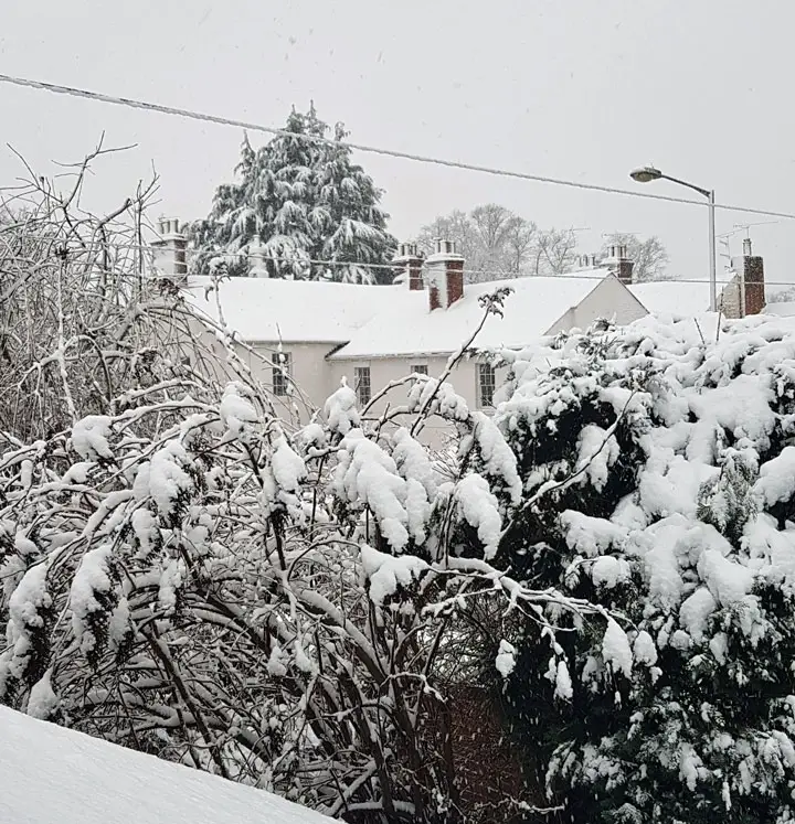 日曜日の雪の日。自分のインナーチャイルドと触れ合おう！