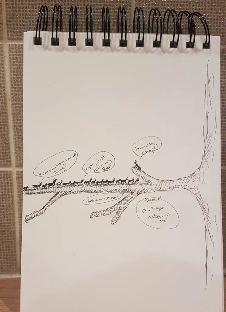 9. päev --- putukad