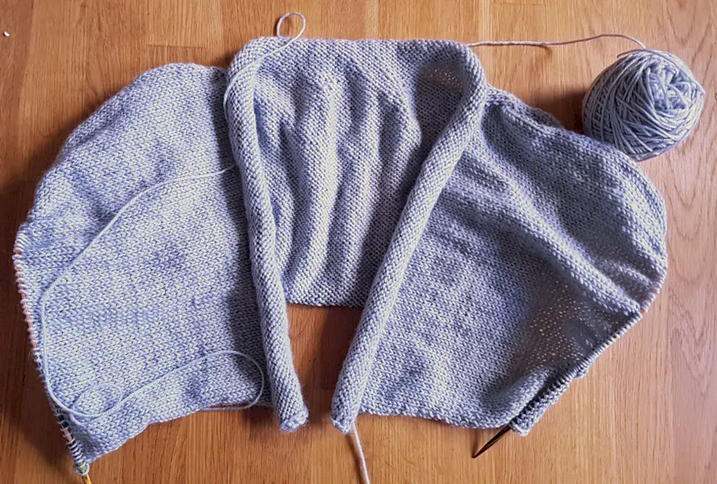 balayé par le vent.webp