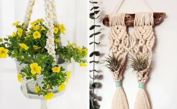 15 úplne bezplatných vzorov závesov na rastliny Macrame, ktoré môže vyrobiť každý začiatočník