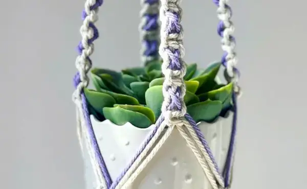 Super Easy DIY Macrame Plant Hanger for Beginners - X-Knot Plant Hanger Tutorial Pattern