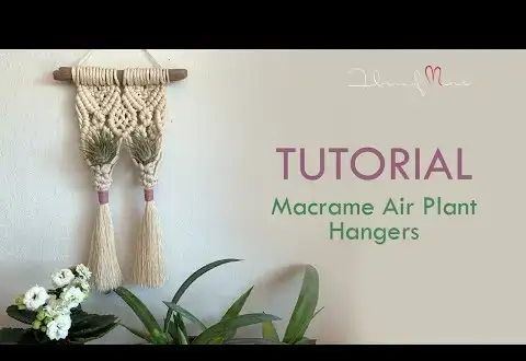 10 簡単な DIY マクラメ エア プラント ハンガー パターン – ティランジア マクラメ ホルダー