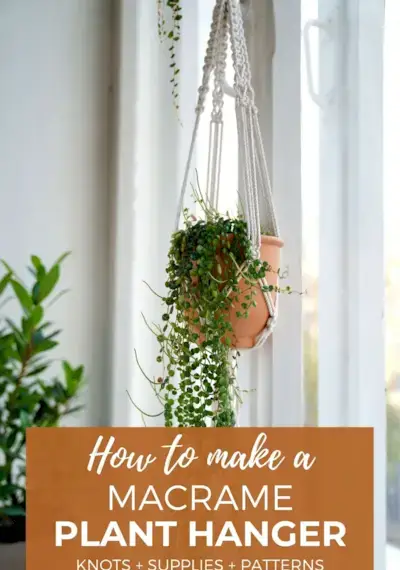 How to Make a Macrame Plant Hanger – Best Tips for Beginners