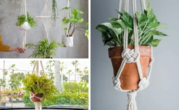 How to Make a Macrame Plant Hanger - Best Tips for Beginners