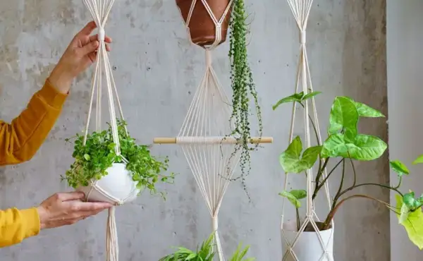 How to Make a Macrame Plant Hanger - Best Tips for Beginners