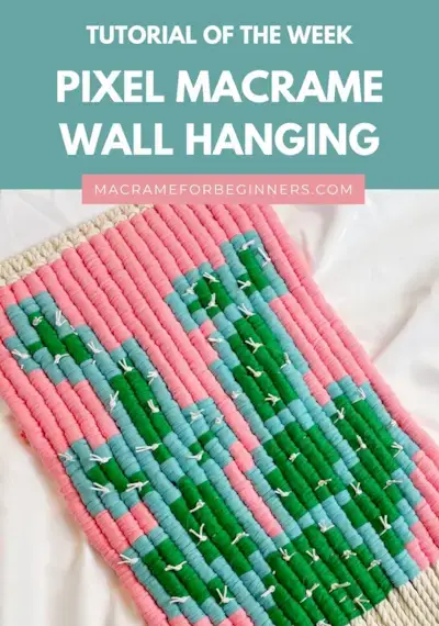 Easy Pixel Macrame Cactus Wall Hanging by Simply Inspired  Mimi & basket